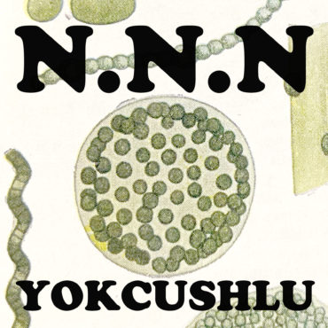 NNN_YOKCUSHLU_Artist page Logo