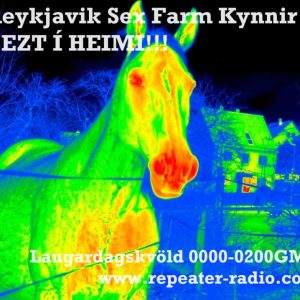 Reykjavik_sex_farm_flyer_138_27.11.23
