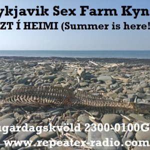 Reykjavik_sex_farm_flyer_77_-_07.05.22