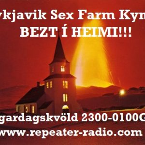 Reykjavik_sex_farm_flyer_86_-_20.08.22
