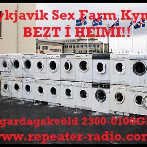 Reykjavik_sex_farm_flyer_90_-_25.09.22