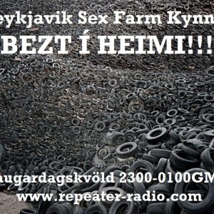 Reykjavik_sex_farm_flyer_93-_16.10.22