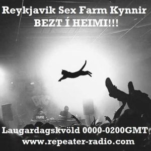 Reykjavik_sex_farm_flyer_97-_13.11.22