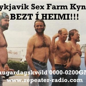Reykjavik_sex_farm_flyer_98_20.11.22