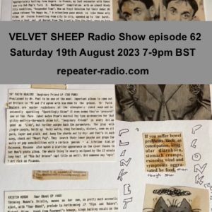 velvet sheep 08192023